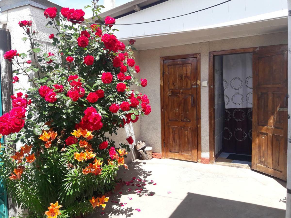 Olga Guest House Cholpon-Ata Exterior foto